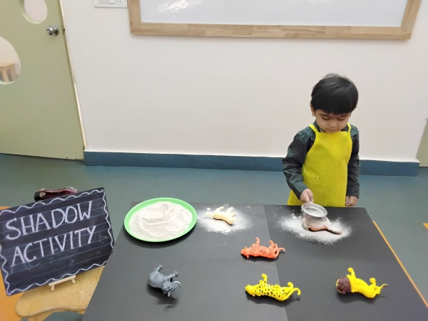 SHADOW ACTIVITY